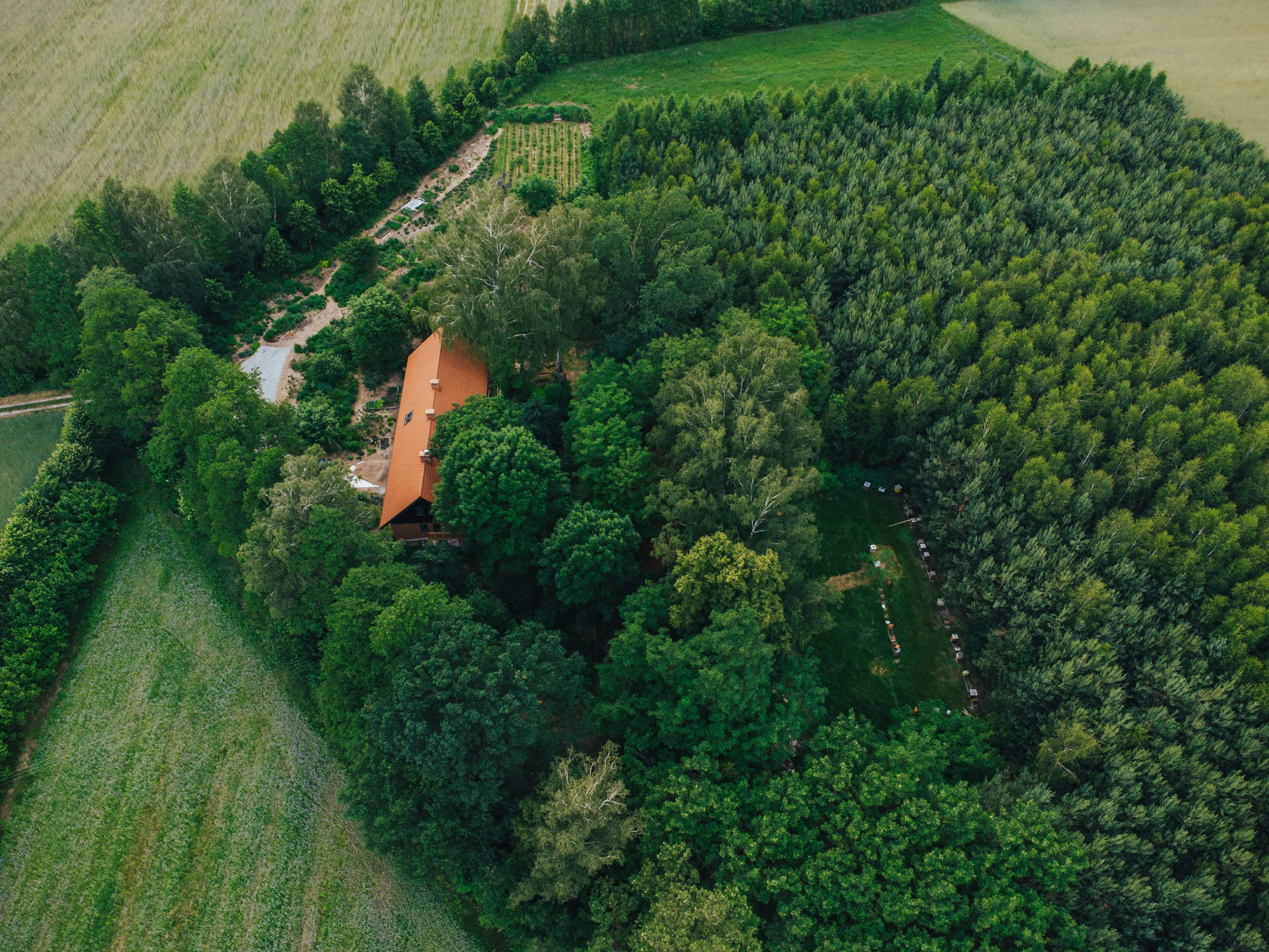 Las i zabudowania fundacji z góry