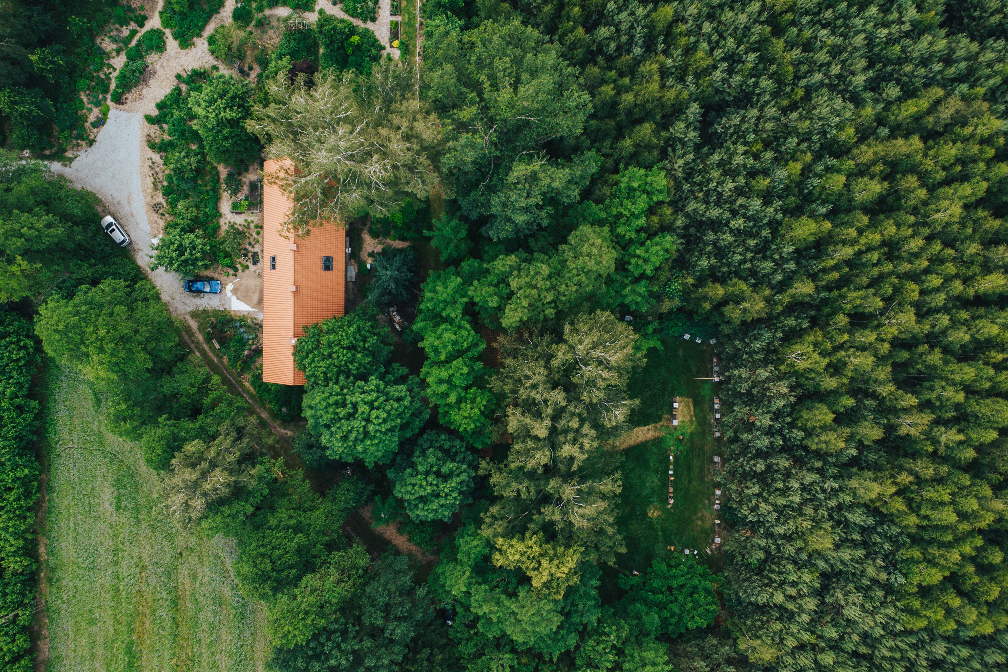 Zielone tereny fundacji z drona