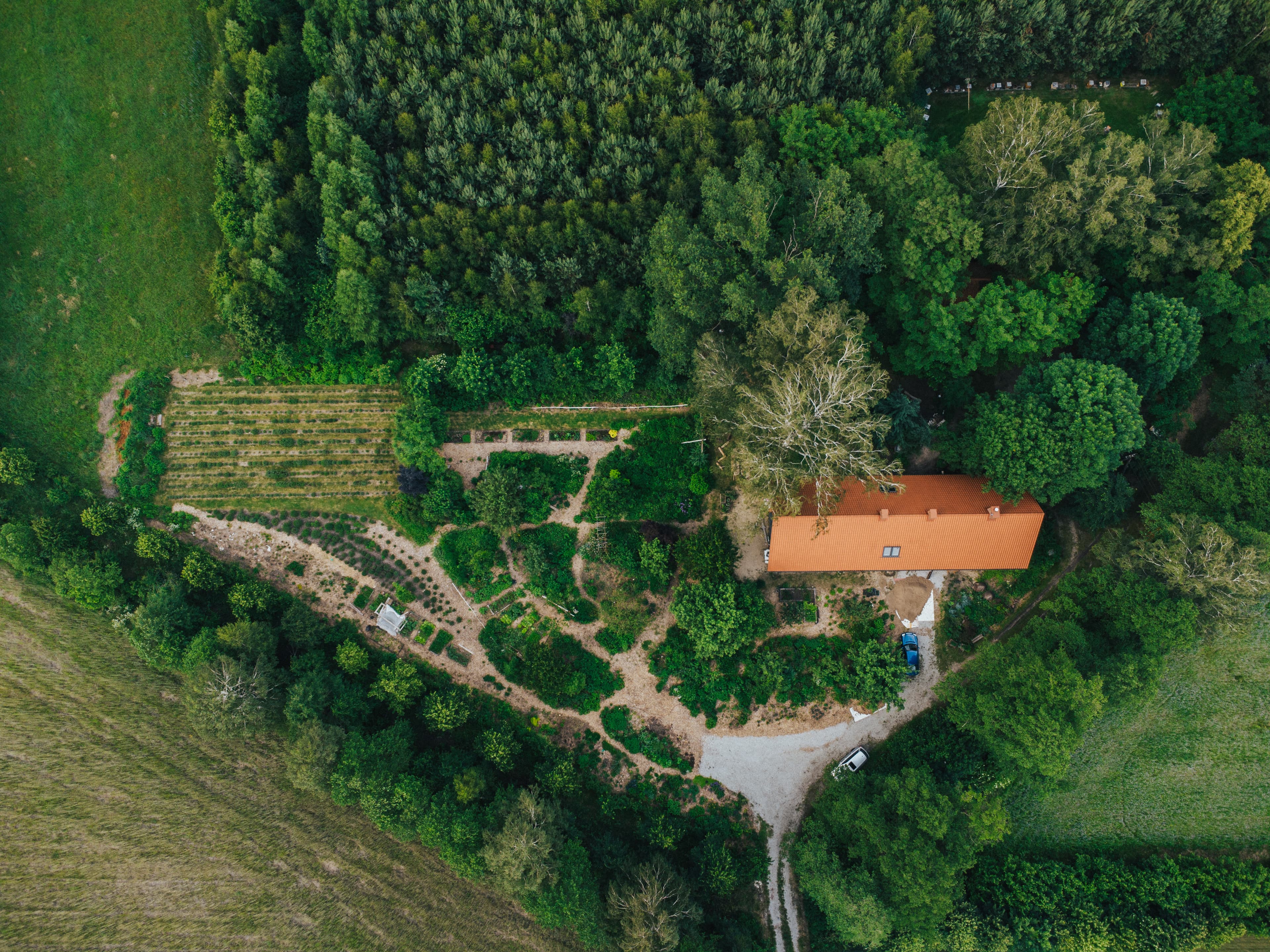 Teren pasieki widziany z powietrza