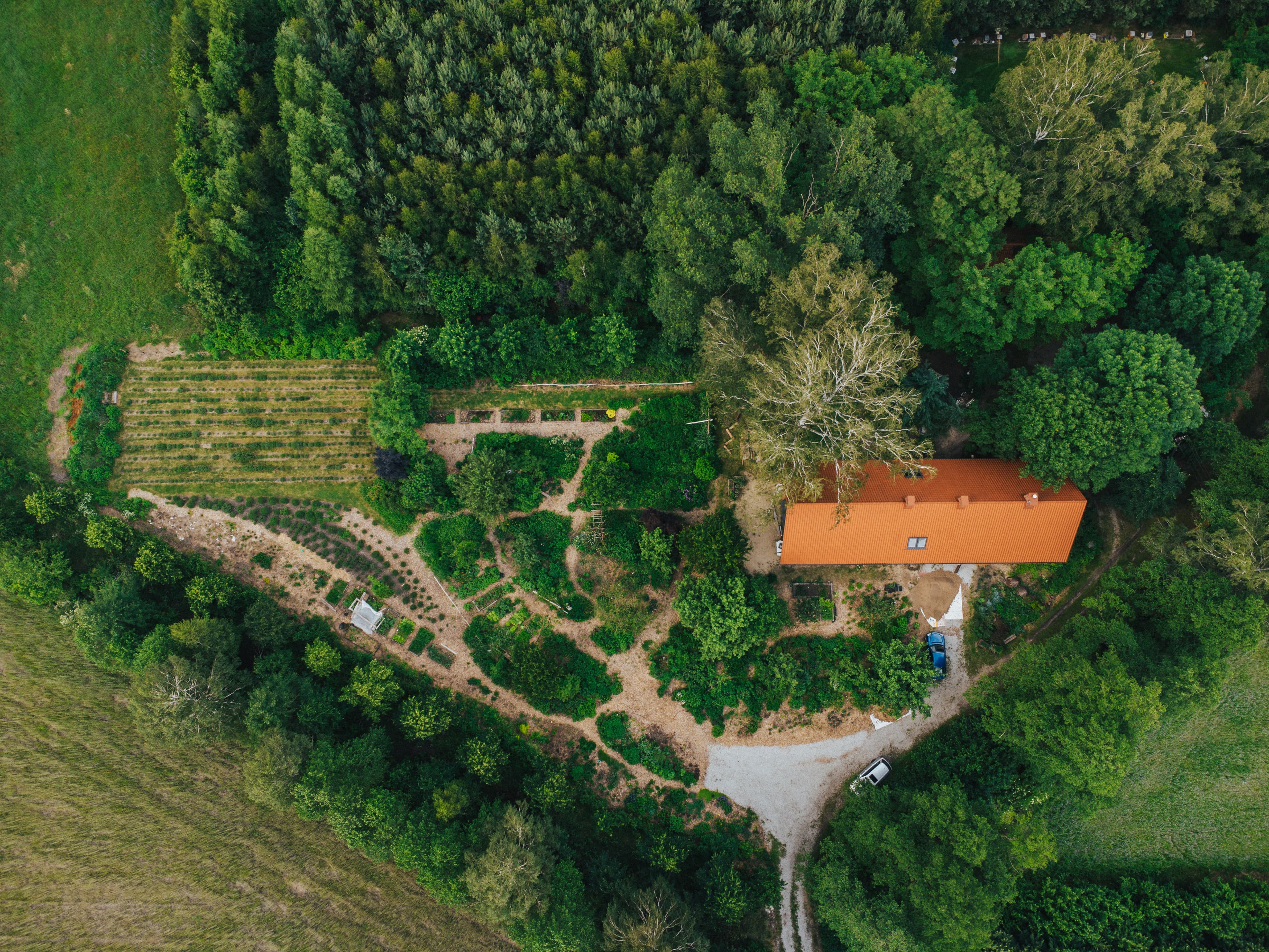 Okrągły widok na ogród i las