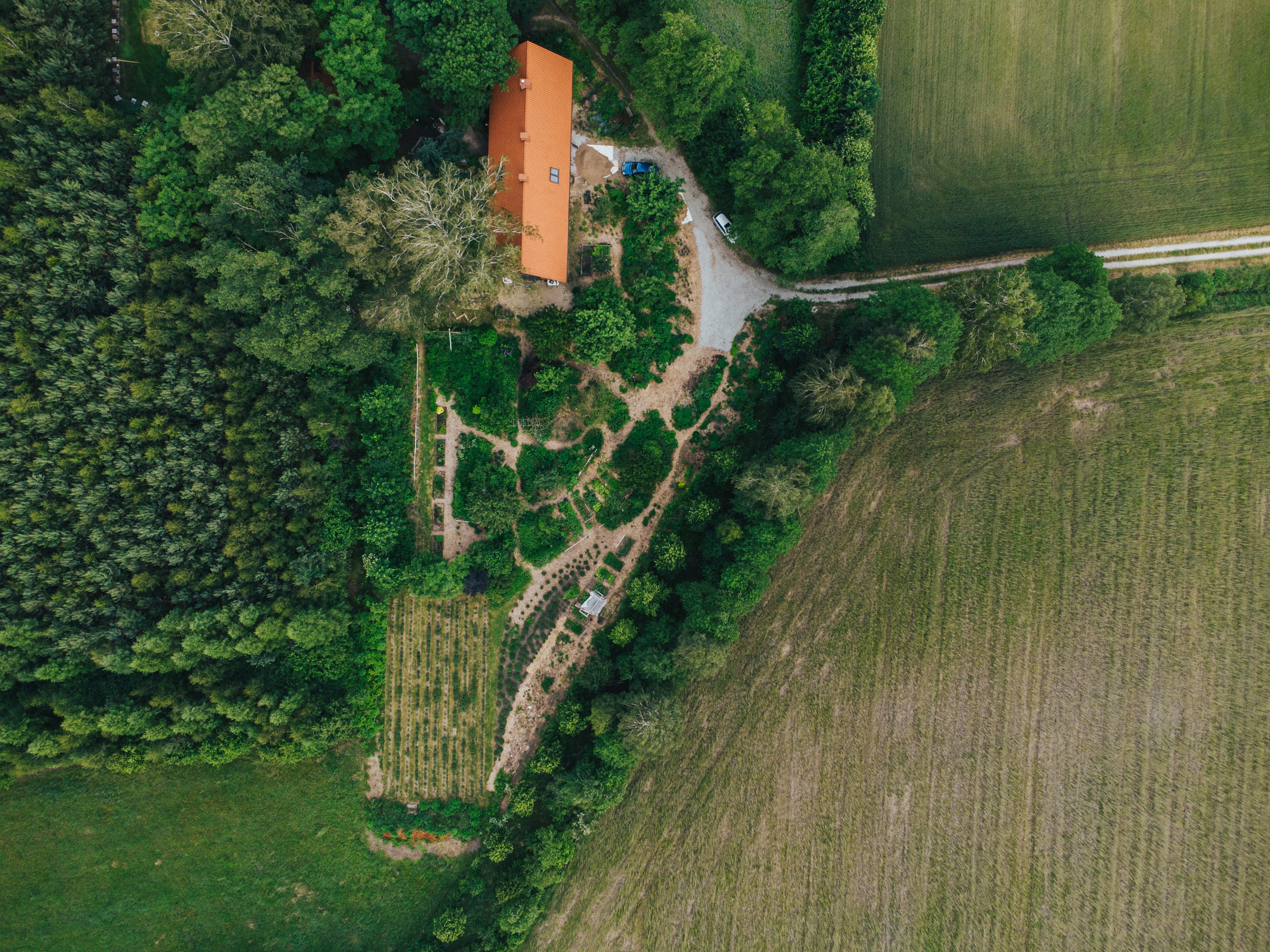 Lot dronem nad ogrodem