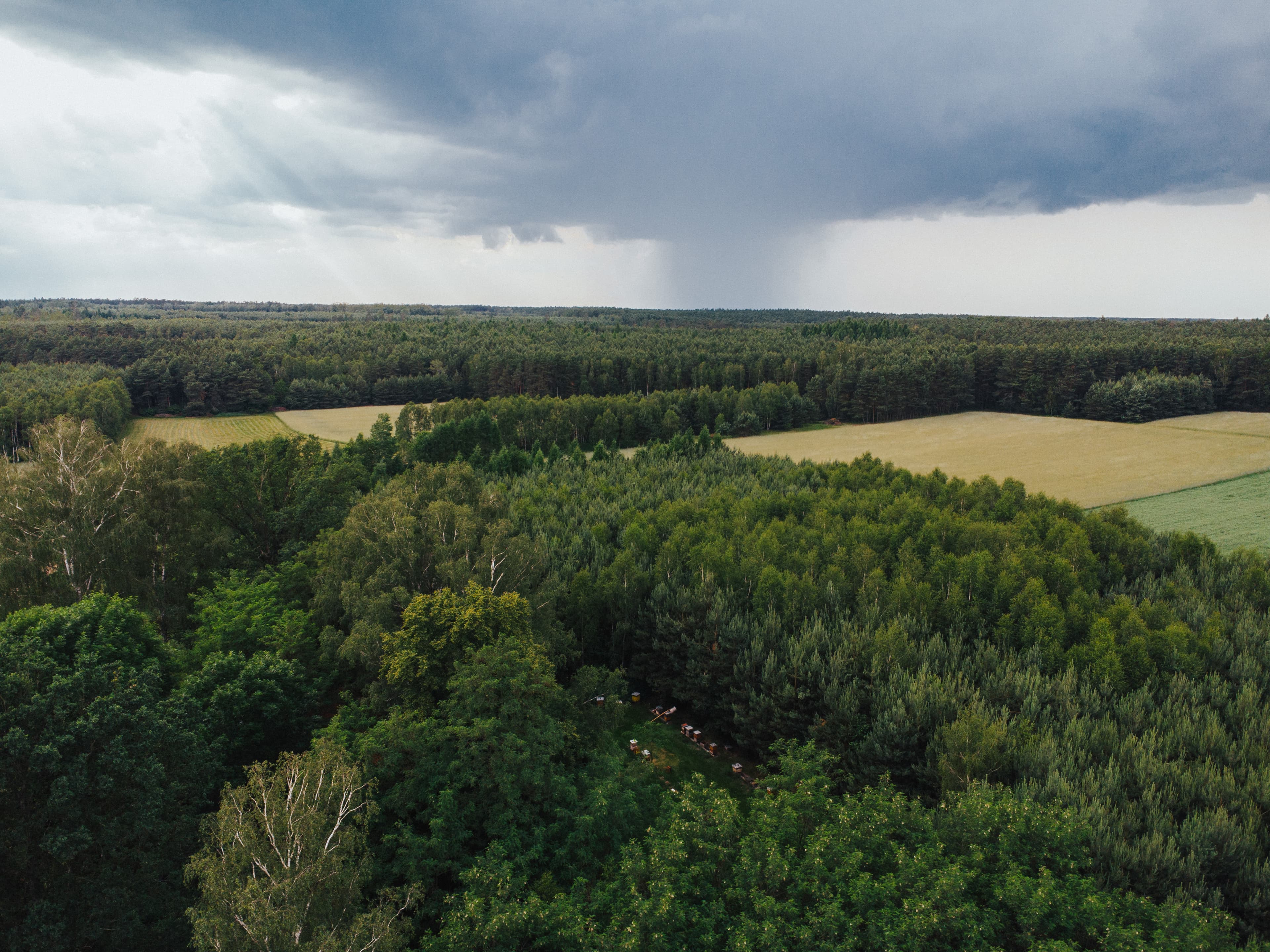 Panorama z drona na okolicę fundacji