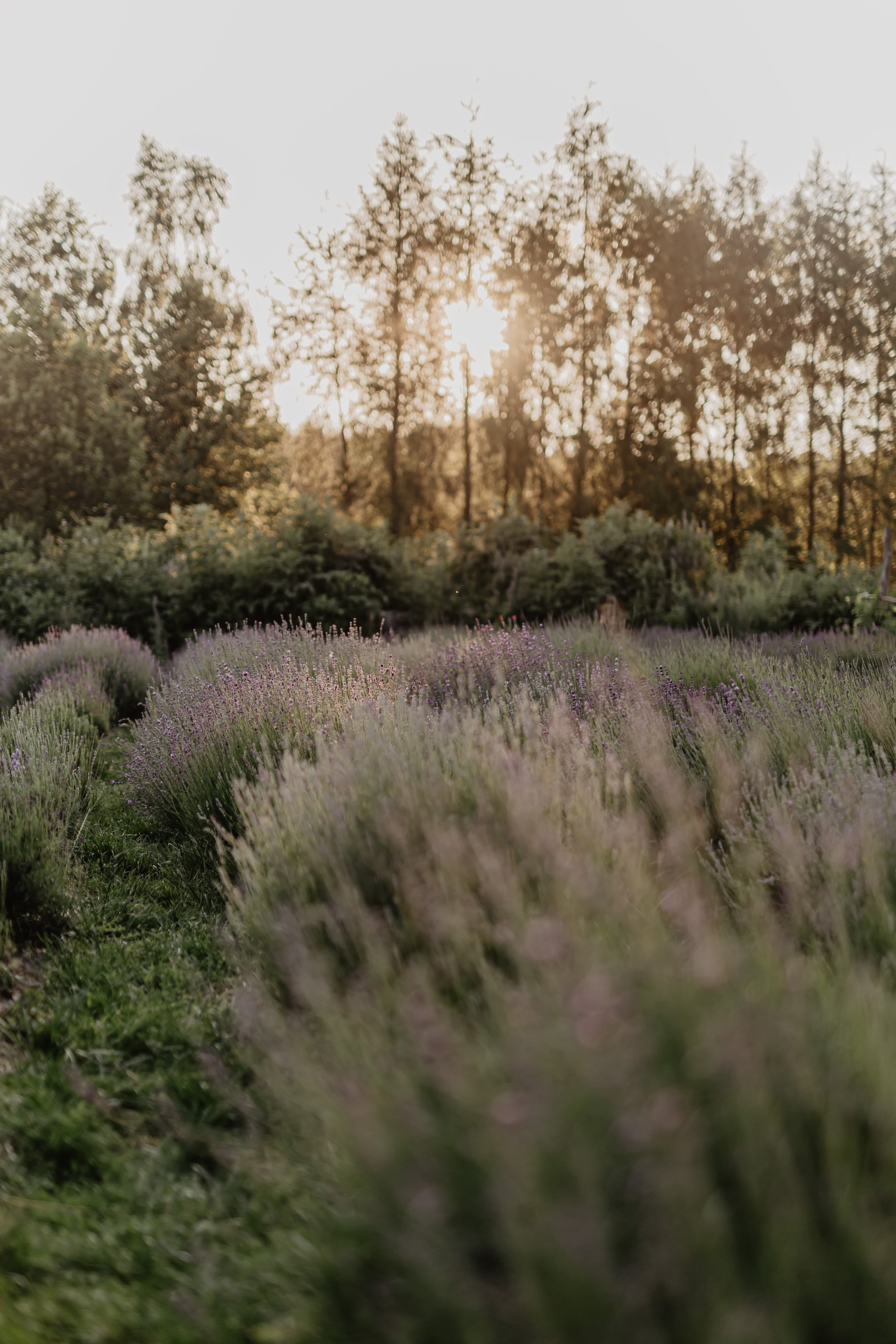 Zajęcia w naturze — skupienie